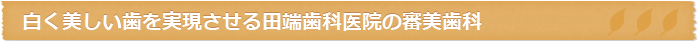 白く美しい歯を実現させる田端歯科医院の審美歯科